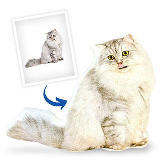 Fun photo shaped pillow of your pet and loved ones.